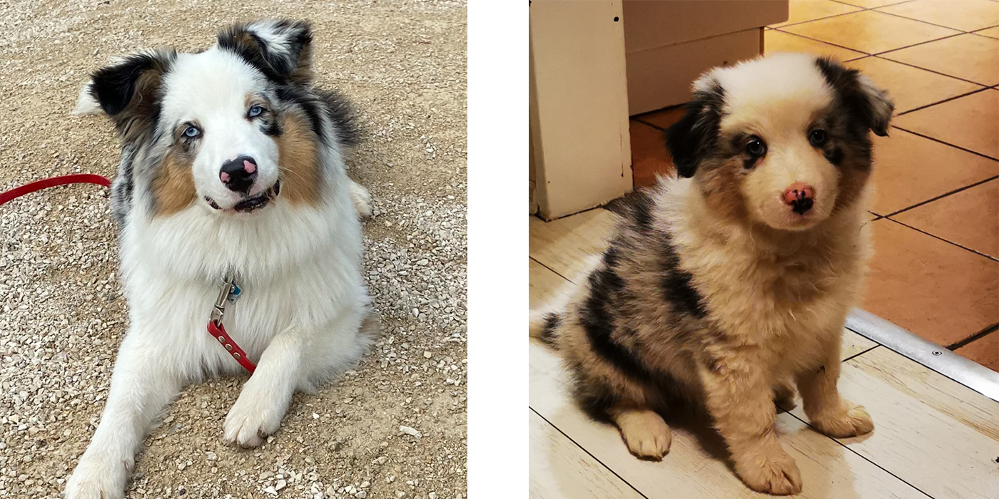 Kinderkrippe Mäuschen Tierpädagogik